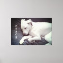 Buscar foto del perro lienzos Para todos