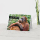 Buscar facial tarjetas Animal