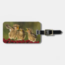 Buscar pajaro etiquetas para maletas Fotografía