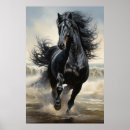 Buscar caballo negro posters Majestuoso