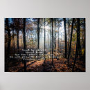 Buscar árbol de sombra posters Para todos