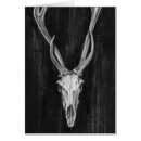 Buscar textura animal postales Decorativo