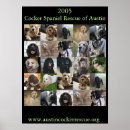 Buscar 2005 posters Perro