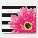 Buscar gerbera electronica Gerber daisy