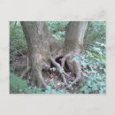 Buscar árbol de la paz postales Raíces