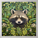 Buscar raccoon arte Vintage