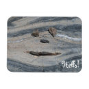 Buscar textura de piedra imanes Para todos