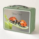 Buscar escarabajos almacenaje alimentos Elegante