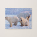 Buscar oso polar puzzles Alaska