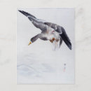 Buscar gansos postales Pájaro