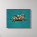 Buscar ojos grandes lienzos Animales