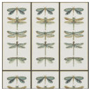 Buscar libélulas manualidades Insectos