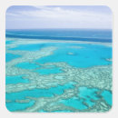 Buscar queensland pegatinas Tropical