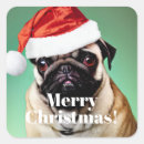 Buscar pug pegatinas Perros de cachorro
