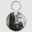 Buscar setter llaveros Animal