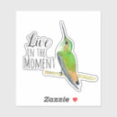 Buscar colibrí pegatinas Adorable