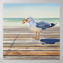 Buscar gaviotas arte Verano