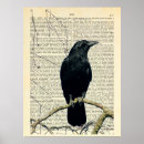 Buscar cuervo posters Raven