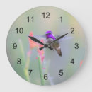 Buscar hummingbird relojes de pared Naturaleza