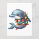 Buscar delfín lindo postales Adorable