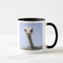Buscar cuerpo tazas botellas Humor