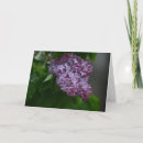 Buscar lila tarjetas Flores