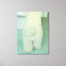 Buscar miniatura lienzos Primer