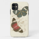 Buscar mariposas fundas Naturaleza