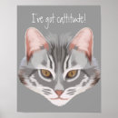 Buscar cattitude Gatos