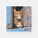 Buscar gatos lindos servilletas Chica