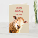 Buscar funny sheep tarjetas Ovejas