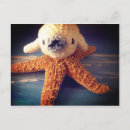 Buscar estrella kawaii postales Adorable