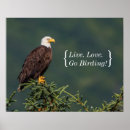 Buscar aves rapaces posters El birding