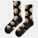 Buscar gato calcetines Para él