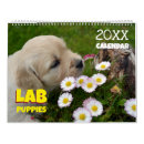 Buscar labrador retriever calendarios Lindo