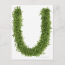 Buscar resentimiento postales Verde