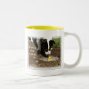 Buscar corgi tricolor tazas Para todos