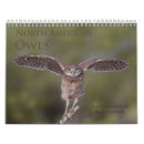 Buscar búho calendarios Pájaros
