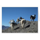 Buscar bolivia tarjetas Llama