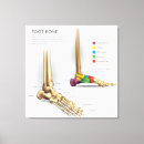 Buscar anatomía lienzos Ciencia