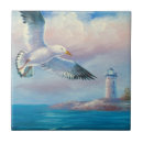 Buscar gaviotas azulejos Agua