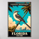 Buscar mirlo posters Pájaro