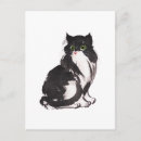 Buscar gatos negros postales Gato blanco y negro