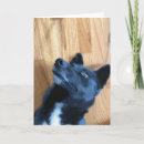 Buscar cara del perro tarjetas Lindo