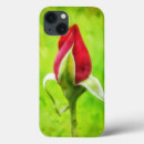 Buscar red rose iphone fundas Naturaleza