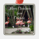 Buscar pájaro tropical adornos Flamencos