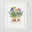 Buscar dique postales Flor