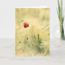 Buscar dolores tarjetas Fe