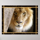 Buscar armario posters Oro