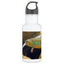 Buscar pesca los pescados agua botellas Pescadores